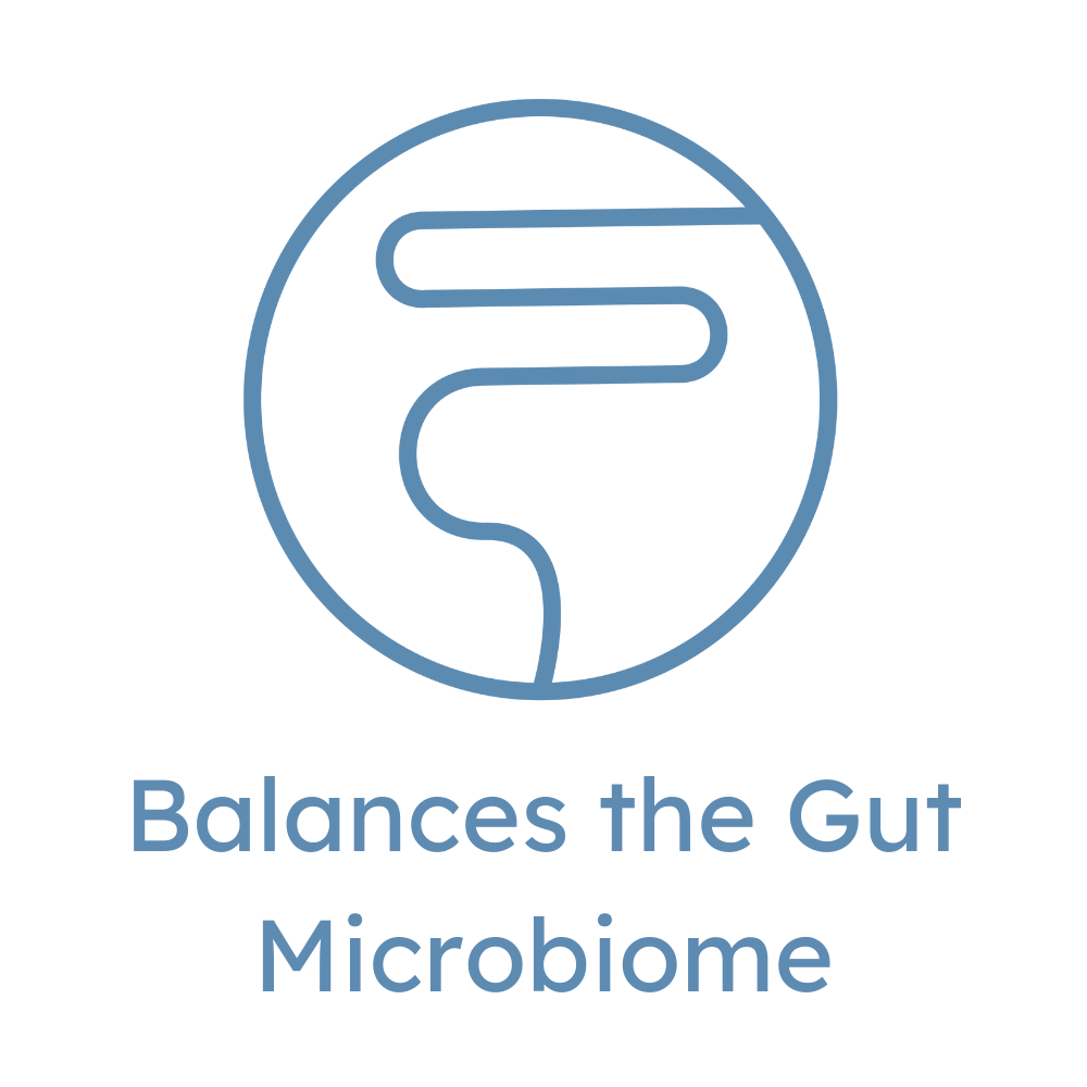 Balances the Gut Microbiome icon